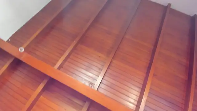 sofhiaa adaams online show from October 2025 05:22:02 PM