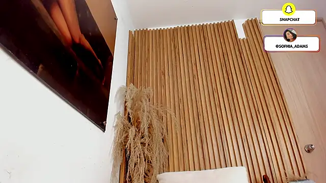 sofhiaa adaams online show from March 2026 03:54:01 AM