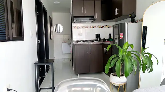 grey   27 online show from February 2025 08:31:02 PM