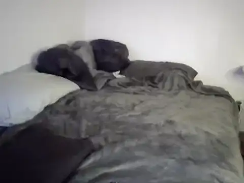 Iliketocooksquirt25 online show from March 2025 08:05:02 AM