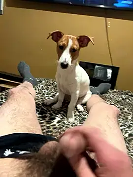 gigetto1977 online show from January 2026 08:58:02 PM