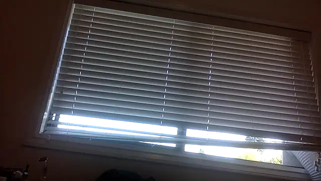 lilboygonewild online show from September 2025 10:53:01 PM