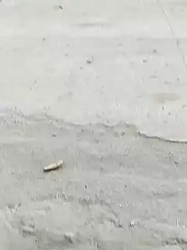 Snapshot of Monster_Bigdick chatting on December 2024 10:56:01 AM Monster Bigdick online show from December 2024 10:56:01 AM