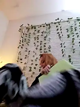 Snapshot of Dixiefaye_Pika chatting on February 2025 03:53:01 AM Dixiefaye Pika online show from February 2025 03:53:01 AM