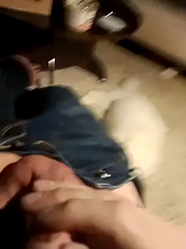 massive cum online show from December 2024 07:55:01 AM