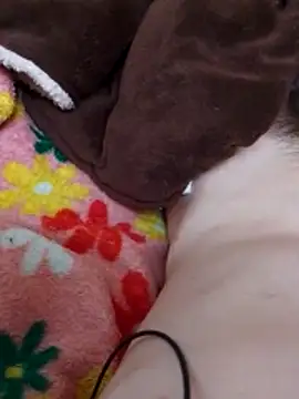 Adee21e online show from December 2025 02:15:01 PM