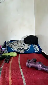 trans511 online show from October 2025 03:10:01 PM