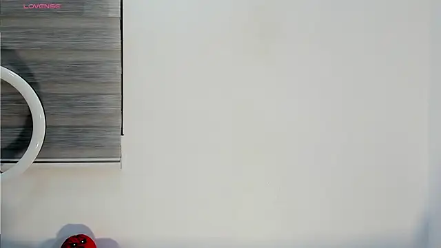 bella hadid1  online show from November 2025 07:08:02 AM