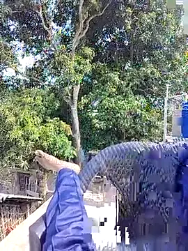 Snapshot of ErRakesh1 chatting on November 2025 05:28:02 AM ErRakesh1 online show from November 2025 05:28:02 AM