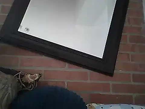 Snapshot of Skater29xx2 chatting on March 2025 08:10:02 PM Skater29xx2 online show from March 2025 08:10:02 PM