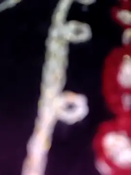 Anamika 24 online show from November 2025 04:34:02 AM