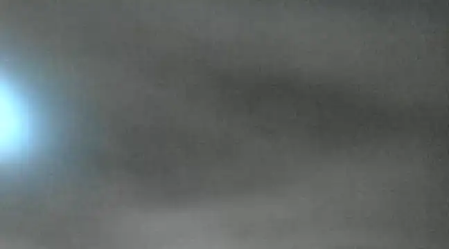 canela wet online show from January 2025 01:08:01 PM