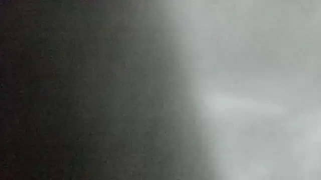 canela wet online show from February 2025 01:19:02 PM