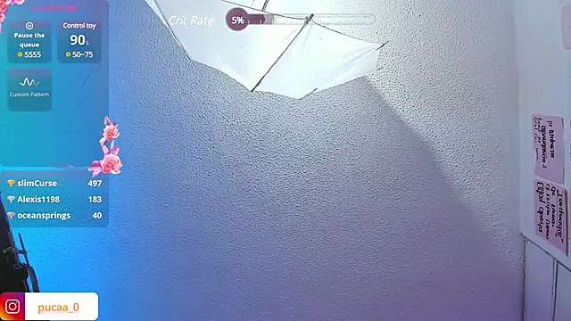 Pucaa  online show from December 2024 04:42:02 AM