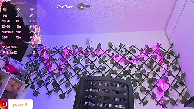 Pucaa  online show from January 2025 04:48:01 AM