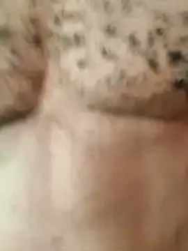 Bulletact online show from February 2026 01:10:01 PM