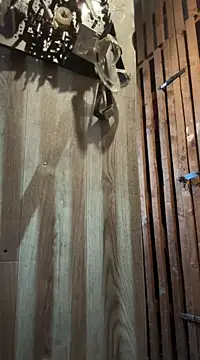 czruz online show from March 2025 10:22:02 AM