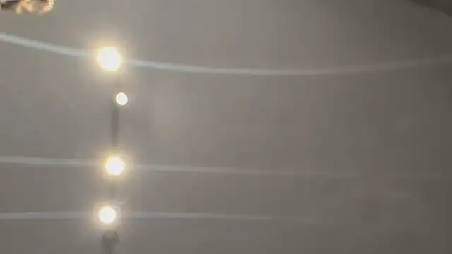 Armyexhibitionistvet online show from February 2026 09:41:02 AM