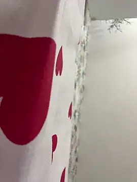 adel secret online show from February 2026 08:32:01 PM