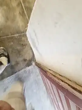 robertilevis online show from February 2026 08:58:02 AM