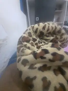 Snapshot of Rafs46 chatting on February 2026 05:15:01 AM Rafs46 online show from February 2026 05:15:01 AM