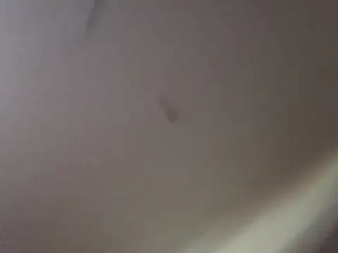 Snapshot of Gin4Cole chatting on September 2025 11:52:01 PM Gin4Cole online show from September 2025 11:52:01 PM