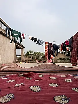 Ishikarana online show from December 2024 08:32:02 AM