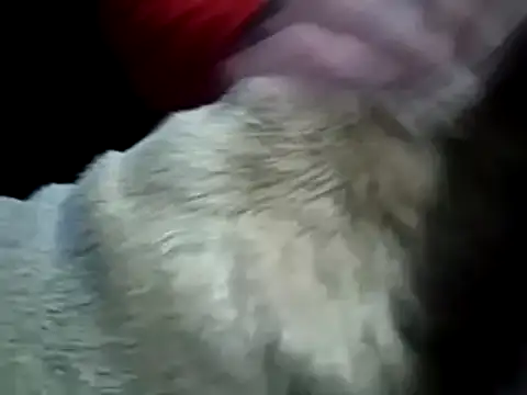 Snapshot of missthickness35_Pika chatting on January 2025 03:45:02 AM missthickness35 Pika online show from January 2025 03:45:02 AM