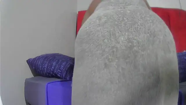 Snapshot of assqueenxx chatting on December 2025 04:18:02 AM assqueenxx online show from December 2025 04:18:02 AM