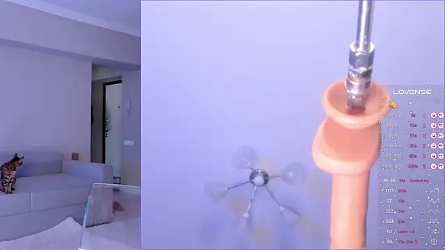 jane sui online show from March 2025 03:53:02 AM