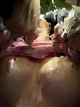 Melissa crazy online show from November 2025 03:23:01 PM