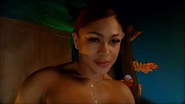 Snapshot of HeidiCox chatting on January 2025 12:17:02 AM HeidiCox online show from January 2025 12:17:02 AM