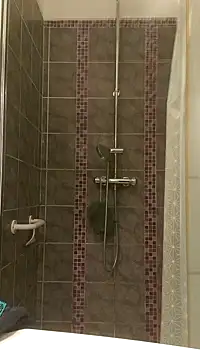 pachapeter online show from January 2025 05:24:02 PM