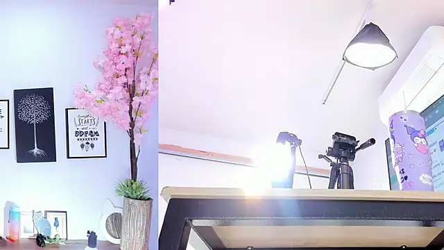 Siouxsie cenobite online show from October 2025 11:32:02 AM