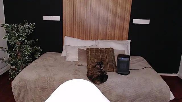 dafne bss online show from March 2025 05:03:02 AM