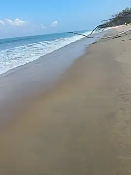 Snapshot of sexntease chatting on March 2025 03:08:01 AM sexntease online show from March 2025 03:08:01 AM