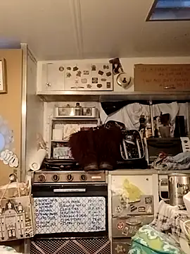 Snapshot of whitetrashdirtyslut chatting on March 2026 01:14:02 PM whitetrashdirtyslut online show from March 2026 01:14:02 PM