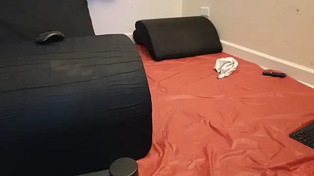 pantslesstraveler plt online show from February 2025 01:52:02 AM