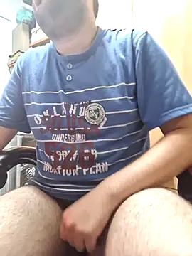 Javier bear online show from October 2025 09:32:01 AM