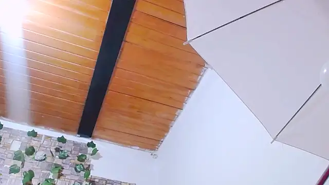 MaidenGame online show from February 2026 03:19:02 PM