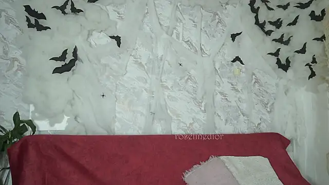 roselinedior online show from October 2025 01:14:01 PM