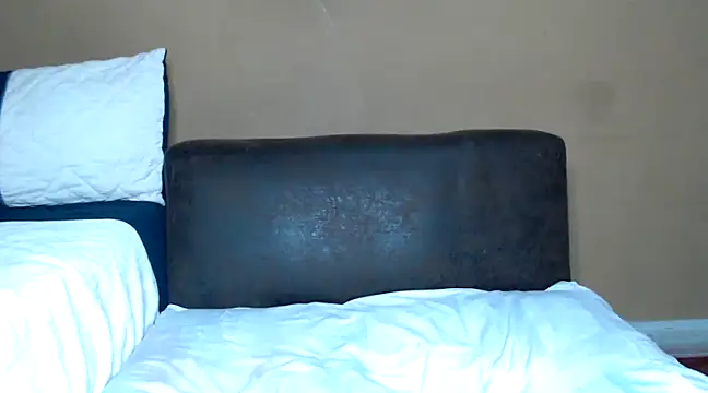 Snapshot of AdelaideT chatting on December 2024 11:51:01 PM AdelaideT online show from December 2024 11:51:01 PM