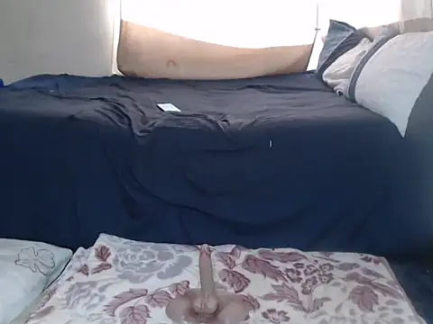 AdelaideT online show from February 2026 11:09:01 AM