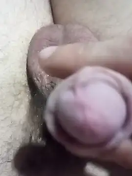 El22 1431 online show from December 2024 04:06:02 AM