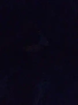 Snapshot of MrDickUdown24_7 chatting on February 2025 06:39:01 AM MrDickUdown24 7 online show from February 2025 06:39:01 AM