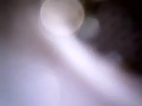 Snapshot of Beijing2000 chatting on January 2025 04:04:01 AM Beijing2000 online show from January 2025 04:04:01 AM