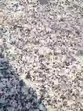 Snapshot of Beijing2000 chatting on January 2025 12:39:02 AM Beijing2000 online show from January 2025 12:39:02 AM