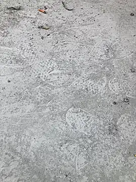 Snapshot of Beijing2000 chatting on October 2025 02:33:01 AM Beijing2000 online show from October 2025 02:33:01 AM