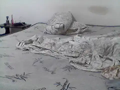 Snapshot of mariy_ chatting on March 2025 04:10:01 AM mariy  online show from March 2025 04:10:01 AM