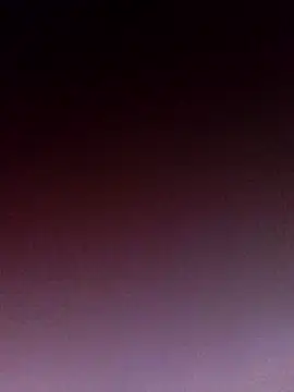 wedge75 online show from October 2025 02:21:02 PM